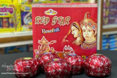 Red start flower pot