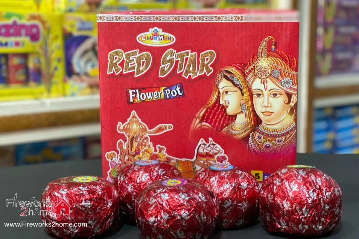Red start flower pot